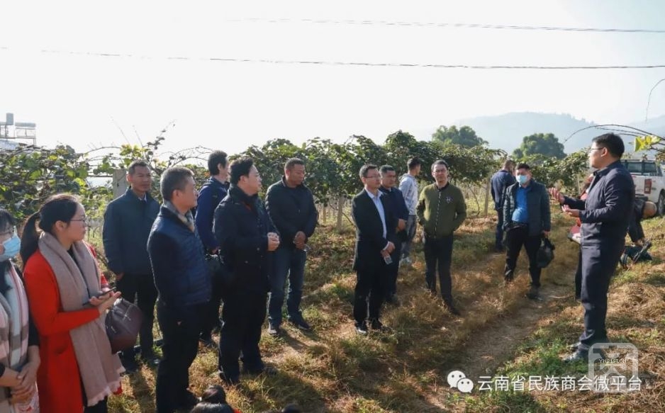 云南省民族商會(huì)考察永平縣冷鏈物流項(xiàng)目.jpeg